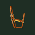 The Dartmoor Padded Halter