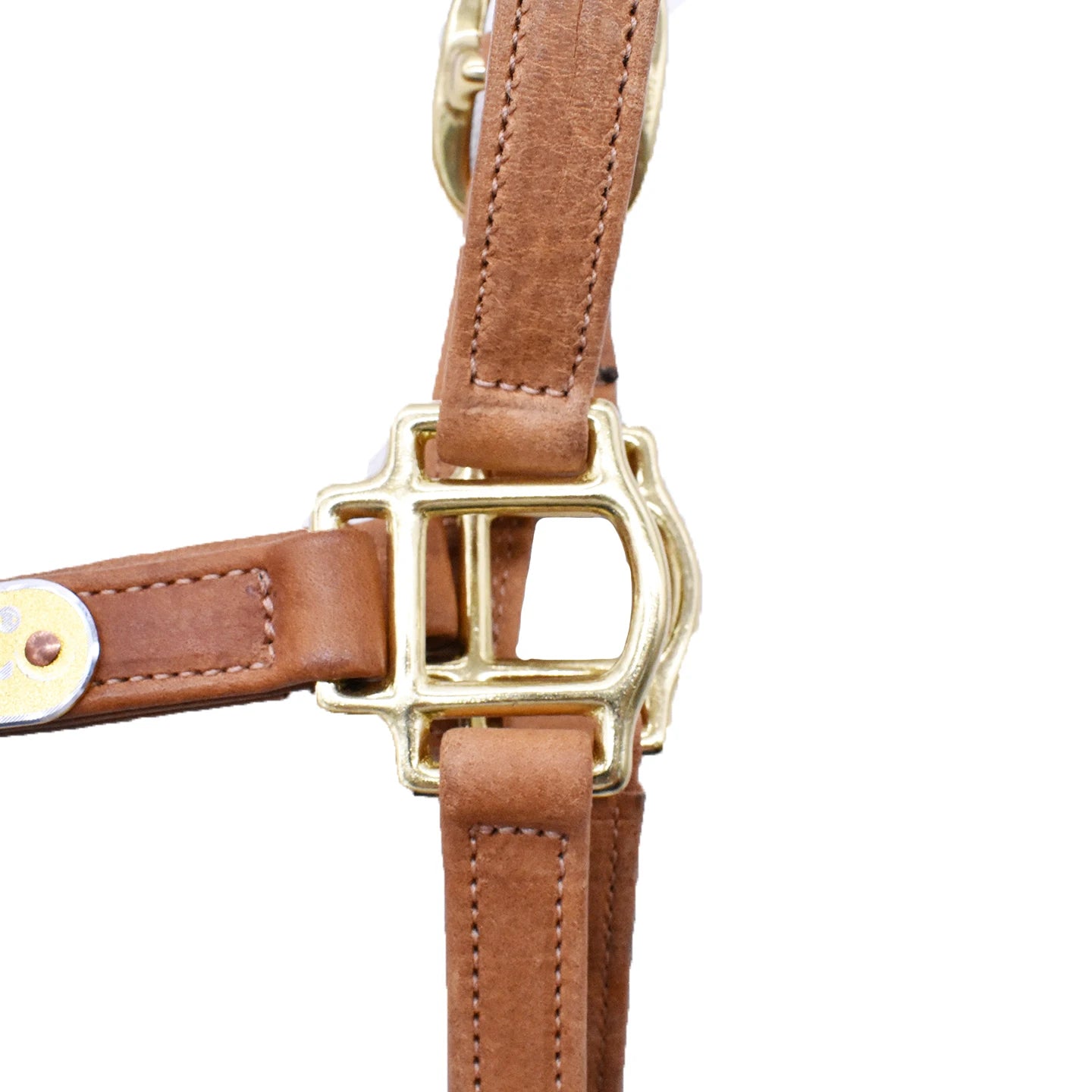 The Dartmoor Padded Halter