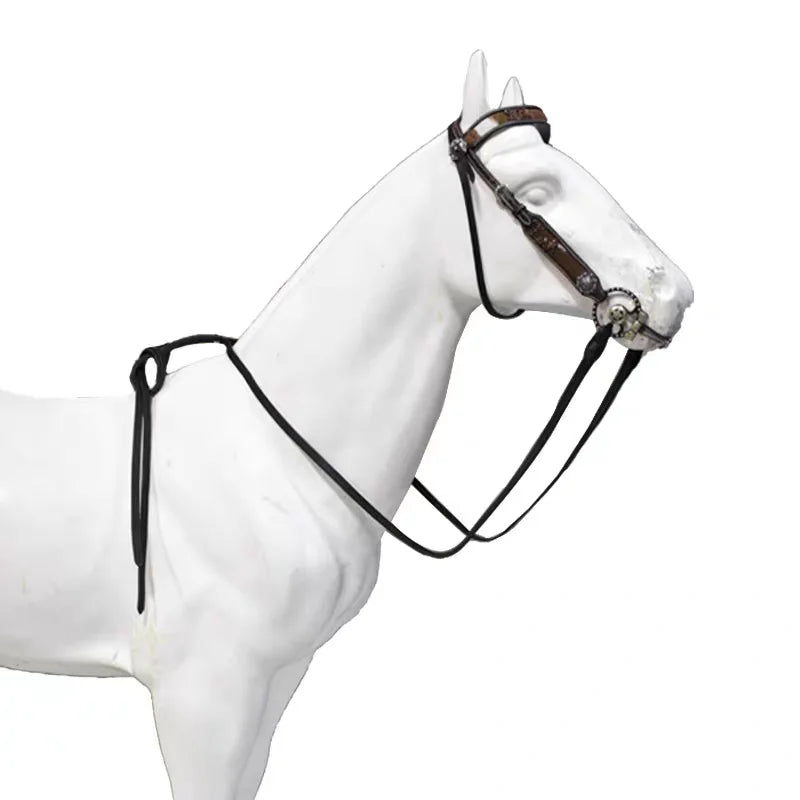 The Middleham Bridle
