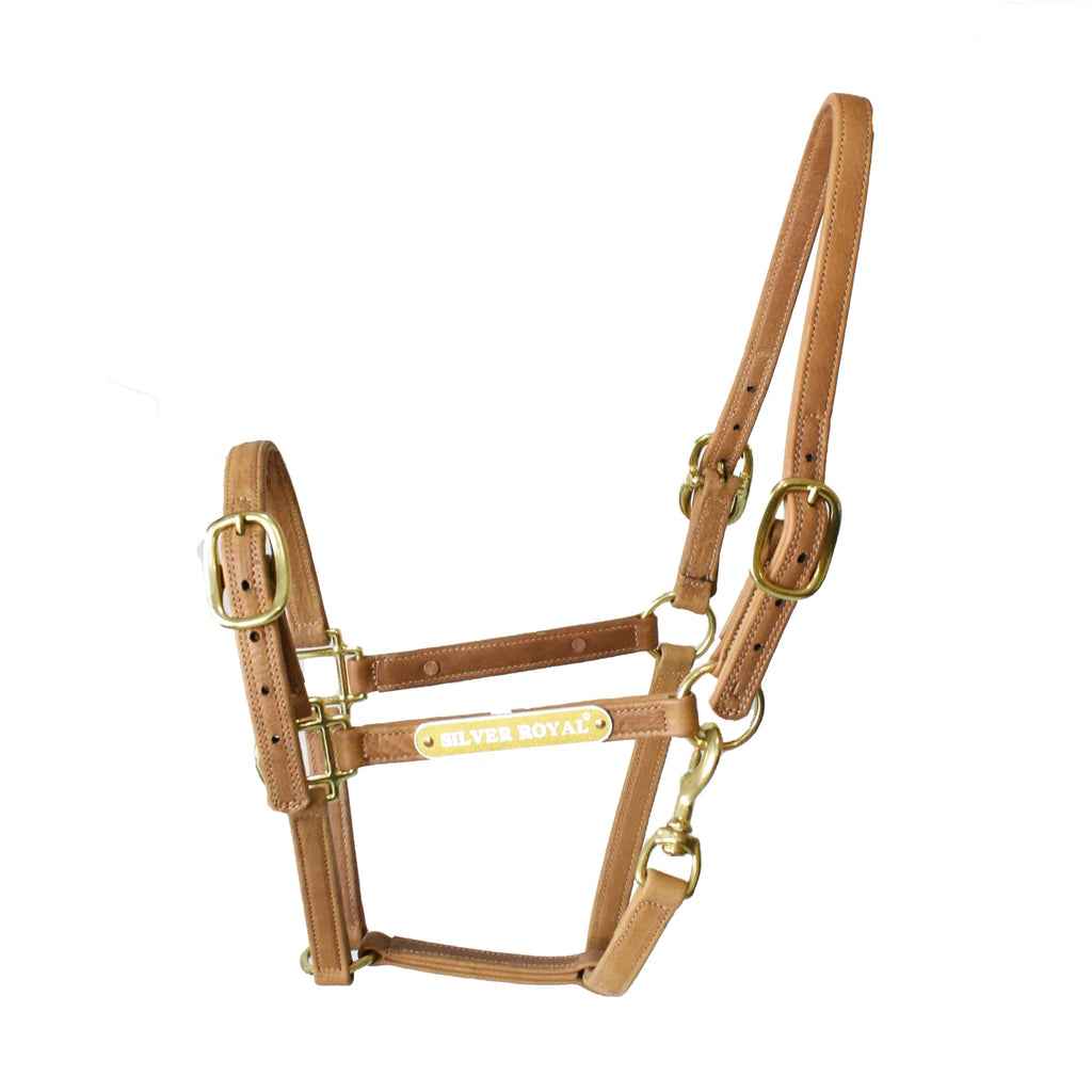 The Dartmoor Padded Halter