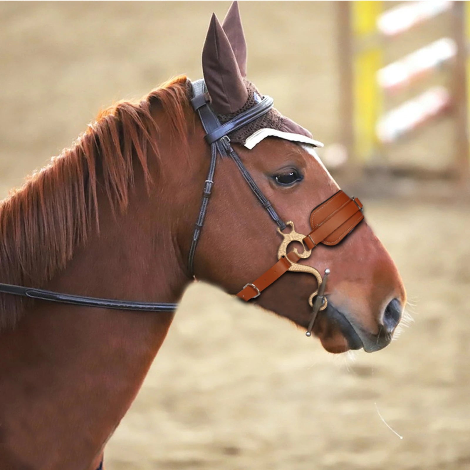 The Exmoor Noseband