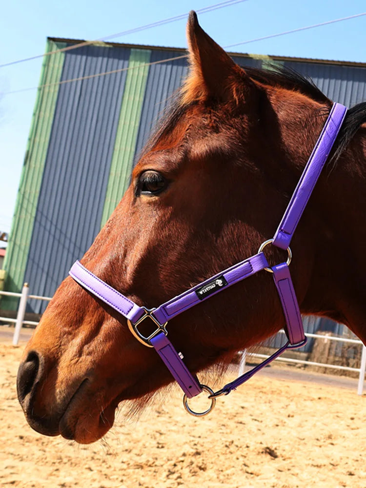 The Cleveland Halter