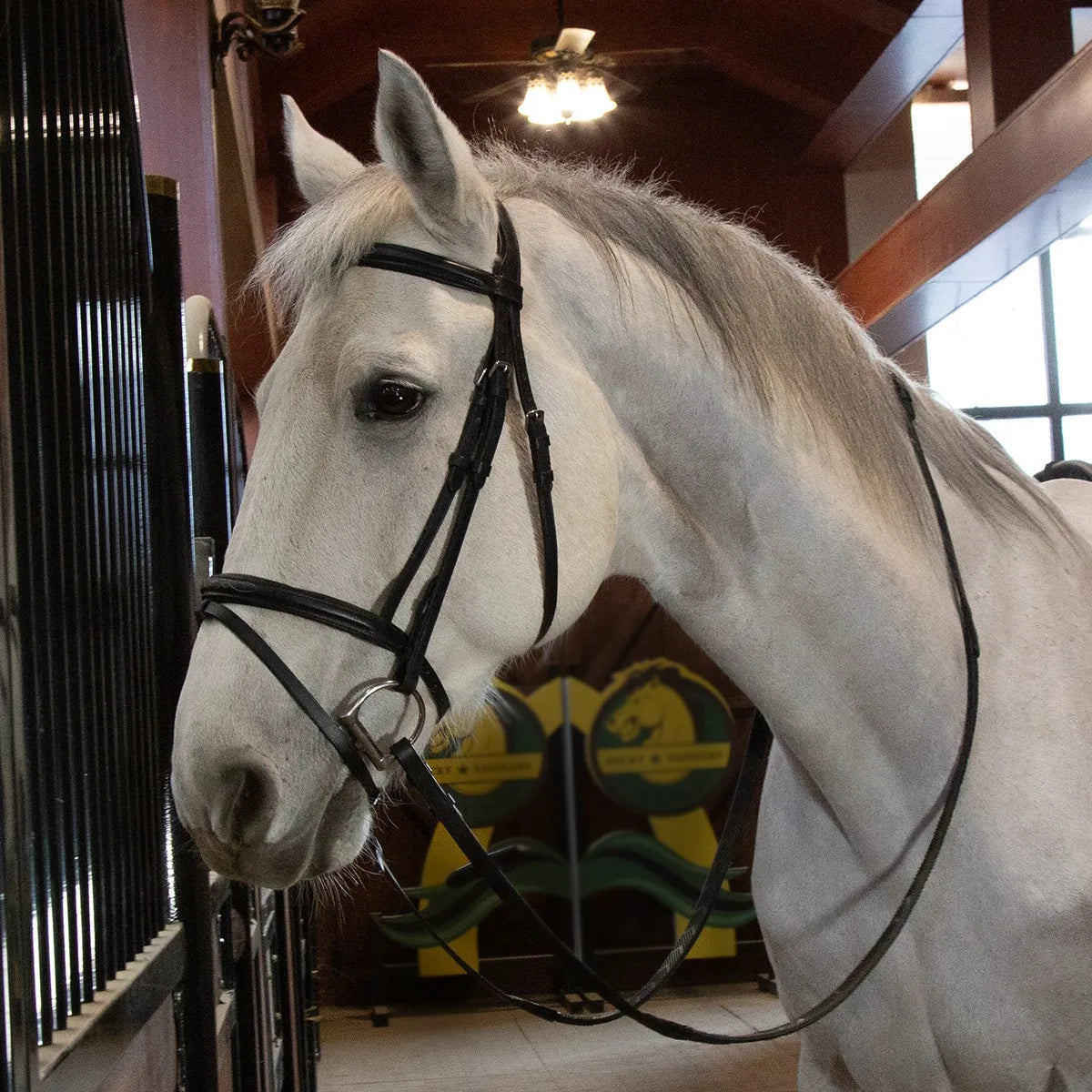 The Suffolk Bridle