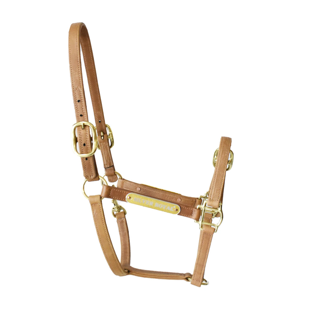 The Dartmoor Padded Halter